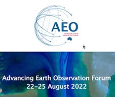 AEO forum image