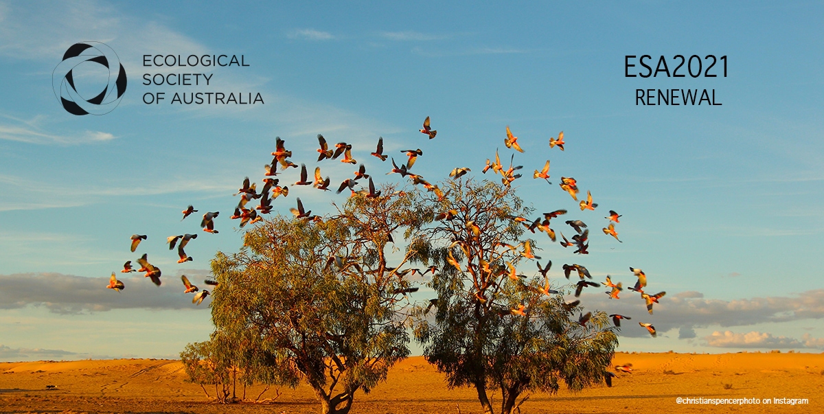 Ecological Society of Australia 2021 image