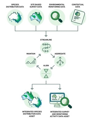 Infographic outlining environmental reporting process | Featured Image for Streamlined Data for Environmental Reporting Page by TERN.