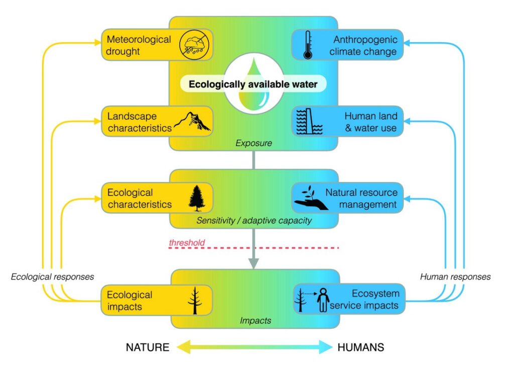 Ecological drought framework showing how climate, landscape, land and water use, ecosystem characteristics and natural resource management influence water availability and ecological impacts | Image for the A FAIR go: helping to build globally-harmonised drought datasets page.