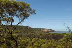 Landscape photo of the Australian bush | Featured Image for Centre Spotlight: Centre of Excellence in Natural Resource Management page by TERN.