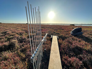 Leschenault, Western Australia