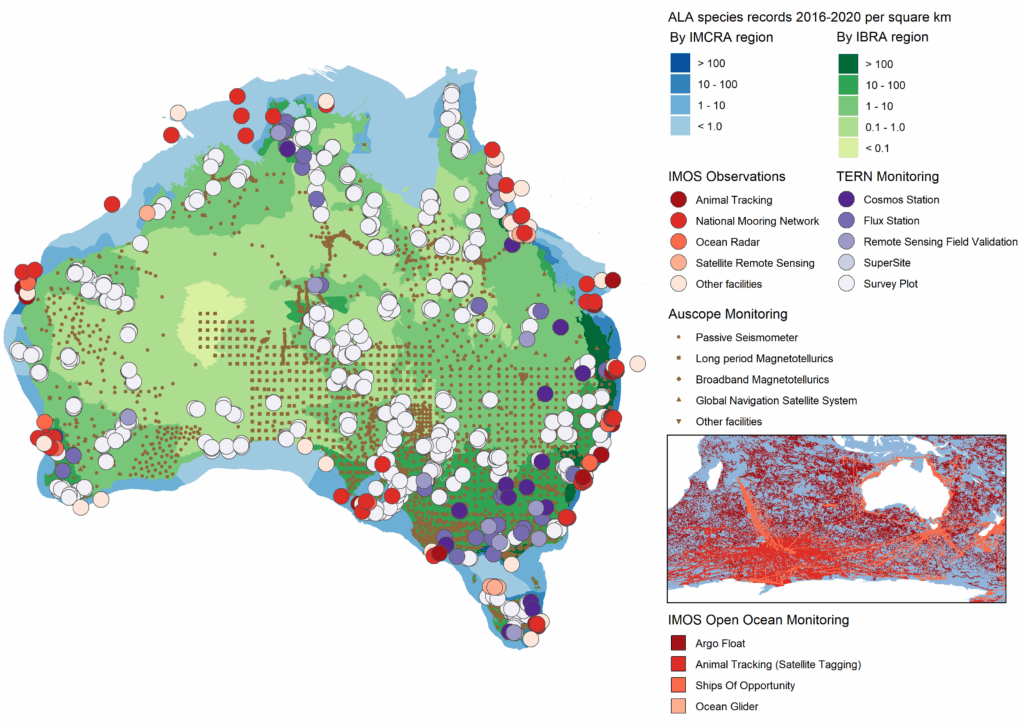 Infographic outlining density of animal species in Australia | Featured Image for Streamlined Data for Environmental Reporting Page by TERN.