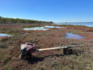 Peel-Harvey estuary, Western Australia