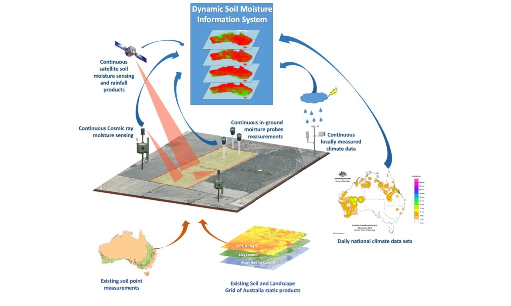 Soil Moisture Information System diagram | Featured Image for Getting the Measure of Soil Moisture in Australia page by TERN.