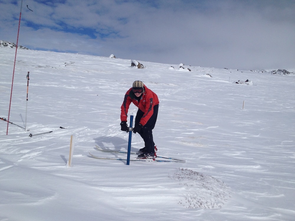 Centre Spotlight: Research Centre for Applied Alpine Ecology | TERN ...