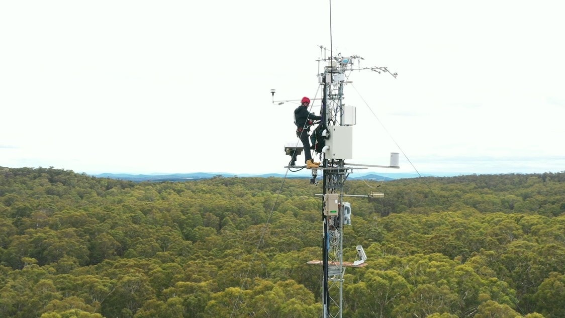 Photo of man working at the top of a telecommunications pole | Featured Image for Long Term Flux Data Reveals Role of Ecosystems in Climate Change Management Blog by TERN.