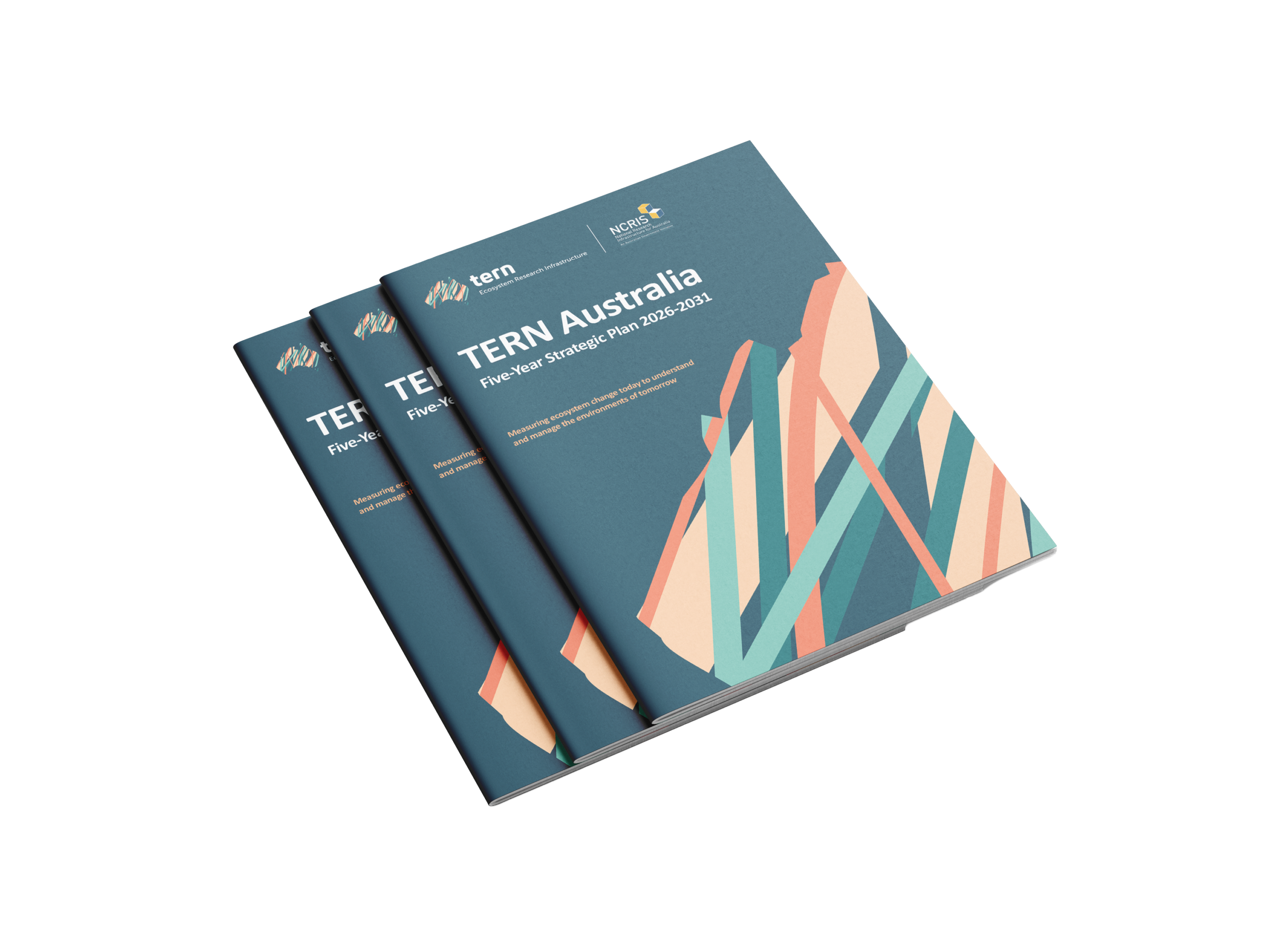 TERN Strategic Plan 2026–2031