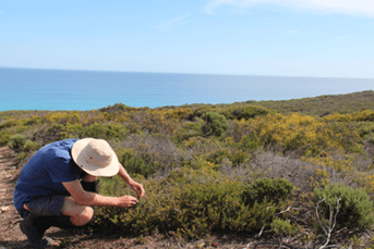 Man collecting plant samples near the ocean | Featured Image for a Vegetation Carbon Isoscape for Australia Page by TERN.