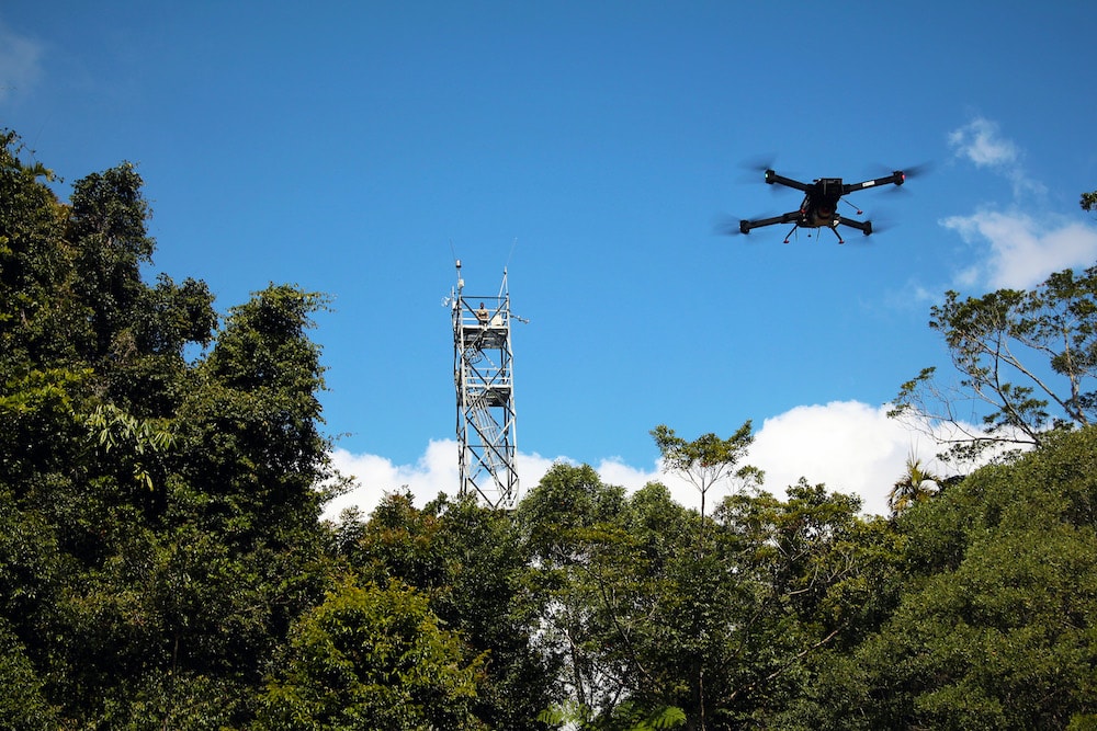 A drone flies over TERN's Robson Creek Rainforest SuperSite in Far North Queensland