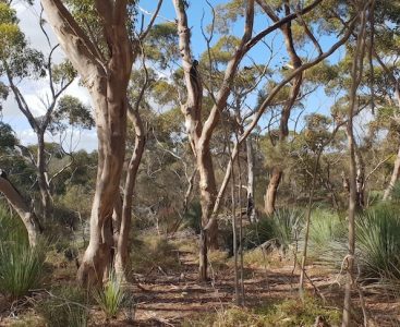 20181021_093506_1000