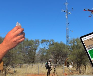 Ausplots basal wedge in use