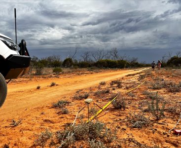 image credit: Wayne Meyer