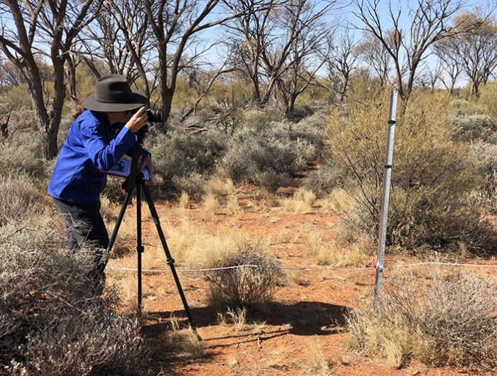 Man taking a photo of a fenceline in the outback.