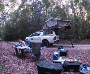 A scientist conducts field lab experiments at TERN's Robson Creek Rainforest SuperSite in Queensland | Featured Image for Novel Forest Research Using TERN Set to Improve Ecosystem-Climate Modelling page by TERN.