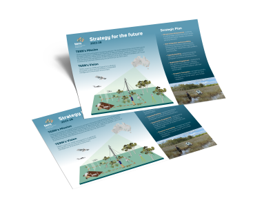 TERN Strategic Plan 2023-28 Digital summary flyer