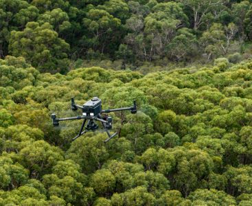 TERN UAV mapping vegetation