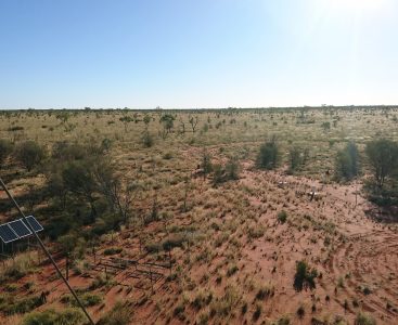 TERN_Alice Mulga - view from tower