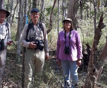 TERN_SERF_BirdSurveys_01_crop1000