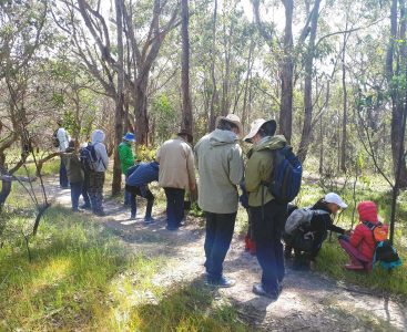 Photo of citizens participating in data collection | Featured Image for the Citizen Science Projects Australia landing page.