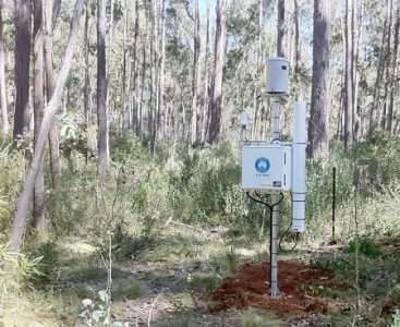 Cosmic-ray probe installed above the forest floor at the Tumbarumba supersite