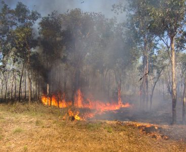 Bushfire,In,The,Outback,Of,Kakadu,National,Park,,Northern,Territory,
