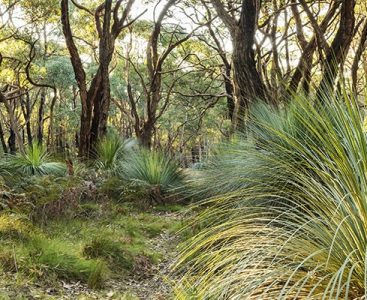 shutterstock_234606472-web-trimmed