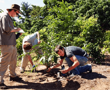 US students plant seedlings at a revegetation plot at the DRO (Photo by
Cassandra Nichols)