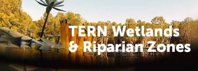 TERN Wetlands | Featured image for Landscape Monitoring for Landscape Research at TERN.
