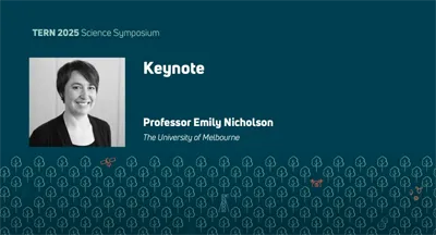 Keynote placeholder thumbnail