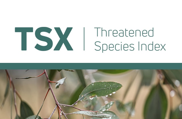 Threatened Species Index Banner | Featured Image for Projects Page by TERN.