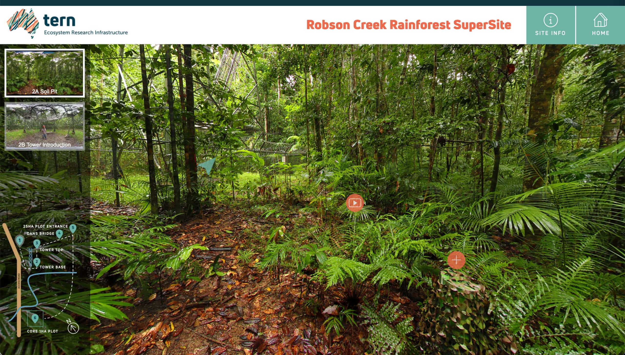 Robson Creek Rainforest Supersite info page | Featured Image for Table page by TERN.